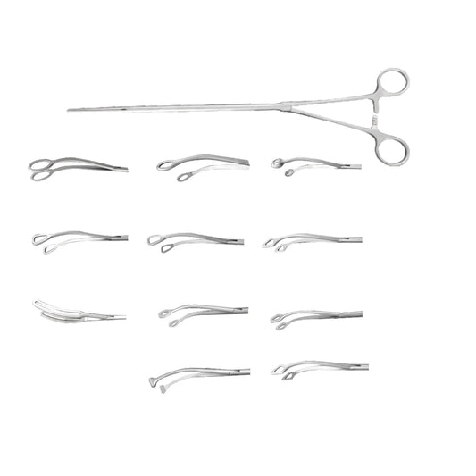 Reusable Ring-handle Triangular Lung Clamp – Open Surgery Thoracic Tissue Forceps Ratcheted 240mm